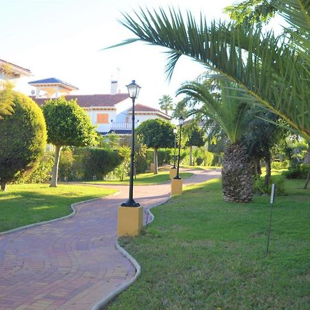 023 Perfect Views - Ac/Wifi Apartamento La Mata  Exterior foto